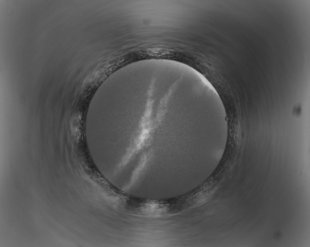 X0000115100319200912081305