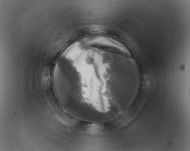 X0000115100320200912081305