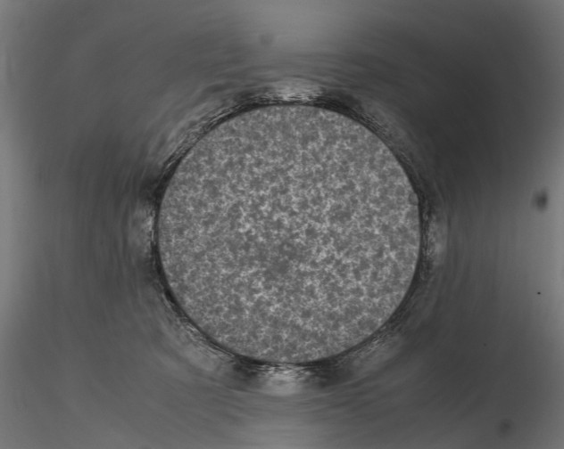 X0000115100321200912081305