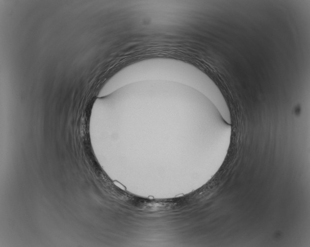 X0000115100323200912081305