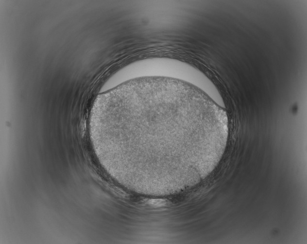 X0000115100324200912081305