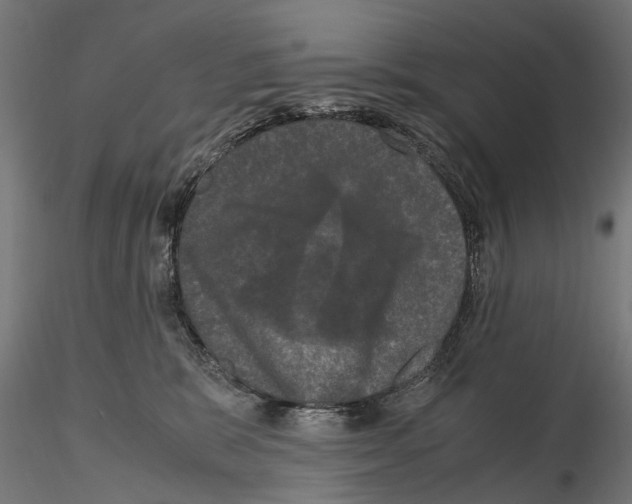 X0000115100327200912081304