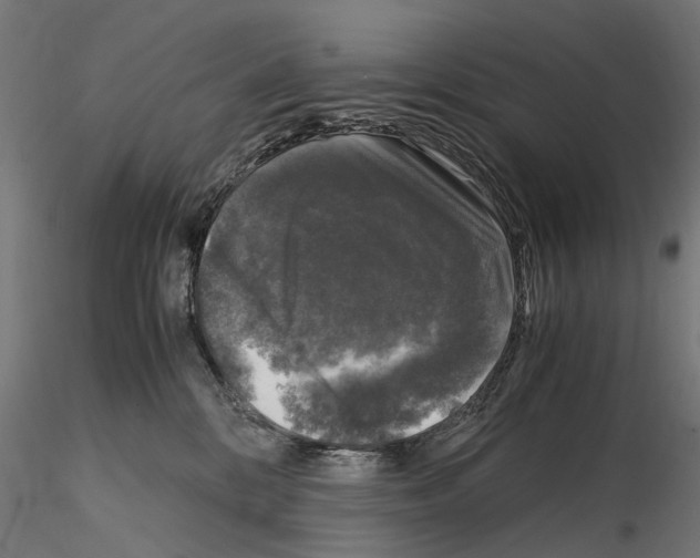 X0000115100328200912081304