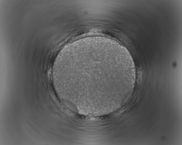 X0000115100329200912081304