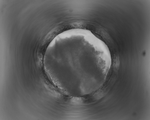 X0000115100332200912081304