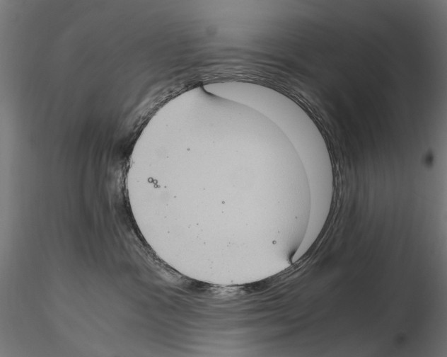 X0000115100333200912081304