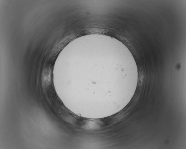 X0000115100334200912081304