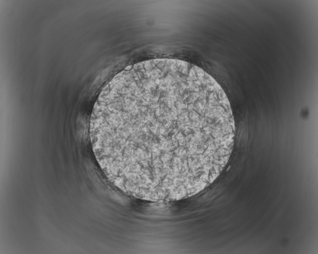 X0000115100335200912081304