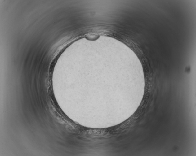 X0000115100338200912081303