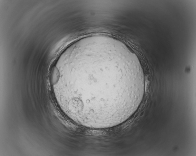 X0000115100339200912081303