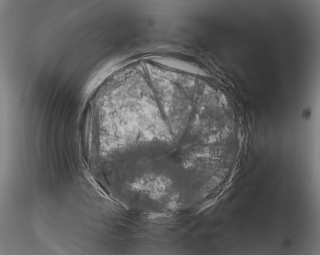 X0000115100341200912081303