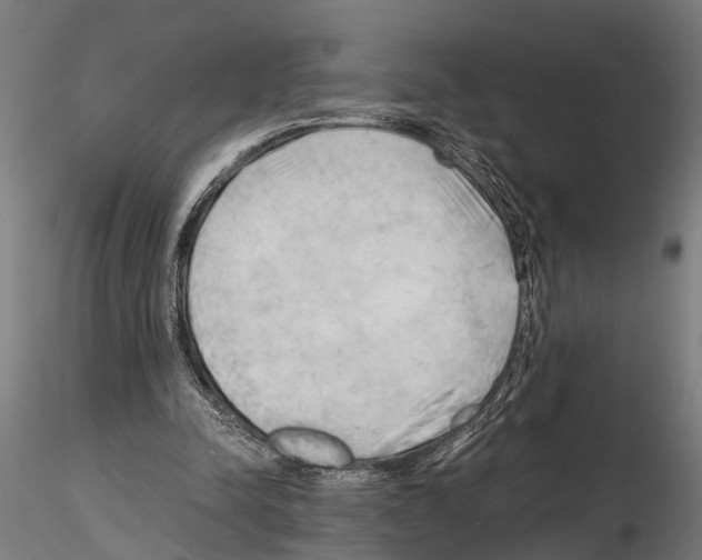 X0000115100342200912081303