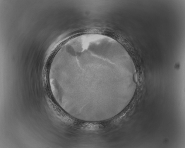 X0000115100343200912081303