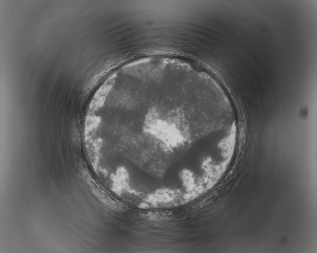 X0000115100345200912081304