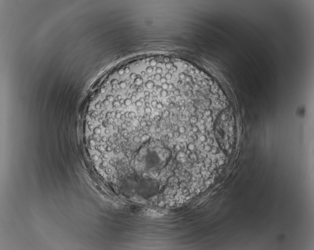 X0000115100346200912081304