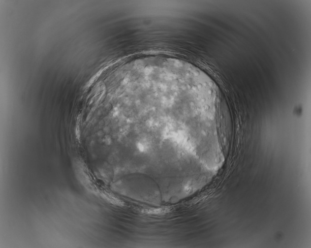 X0000115100347200912081304