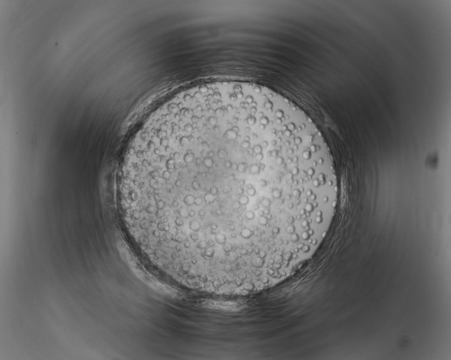 X0000115100349200912081304