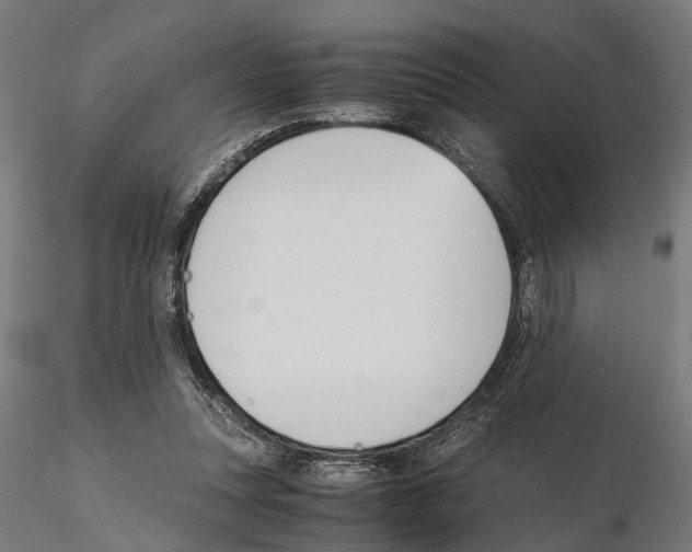 X0000115100351200912081304