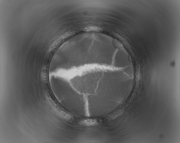 X0000115100353200912081304