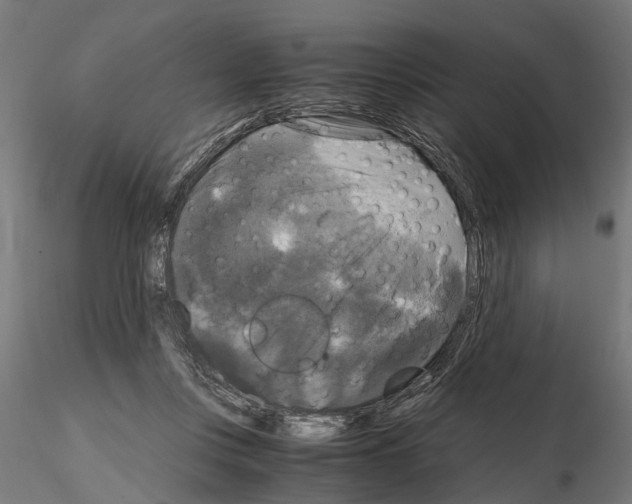 X0000115100359200912081304