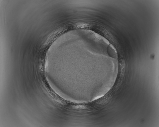 X0000115100361200912081304