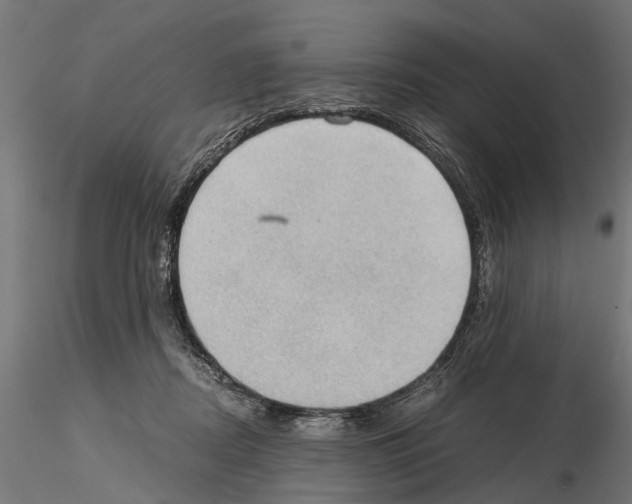 X0000115100362200912081304