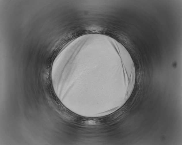 X0000115100365200912081304