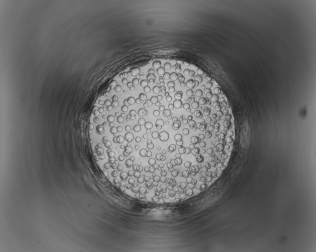 X0000115100366200912081304