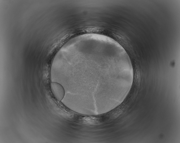 X0000115100367200912081304