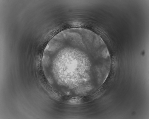 X0000115100369200912081304