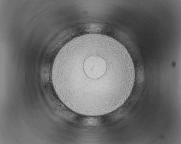 X0000115100370200912081304