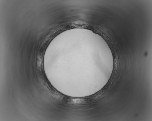 X0000115100371200912081304