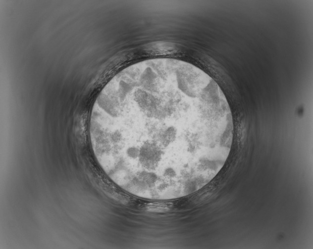 X0000115100373200912081304