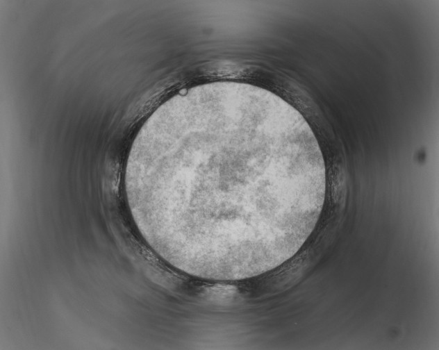 X0000115100374200912081304