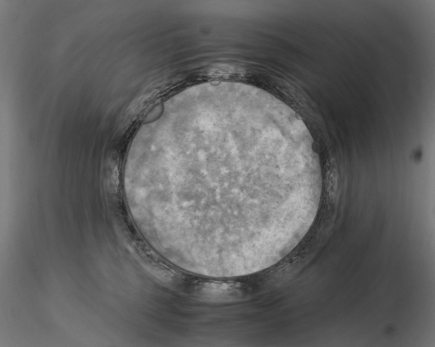 X0000115100375200912081304