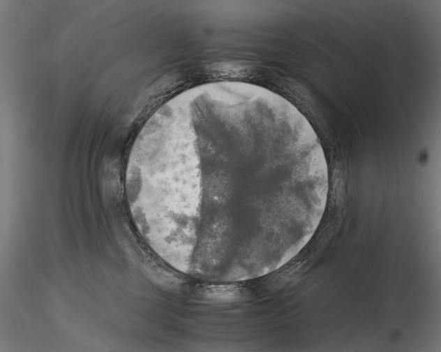 X0000115100377200912081304