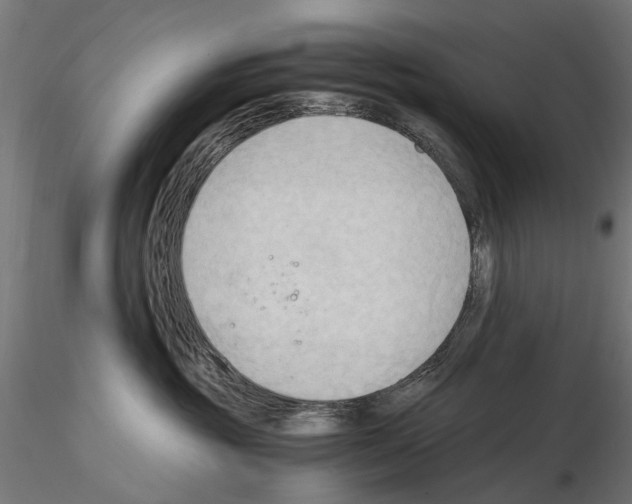 X0000115100381200912081304