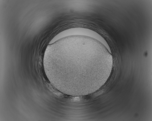 X0000115100382200912081304