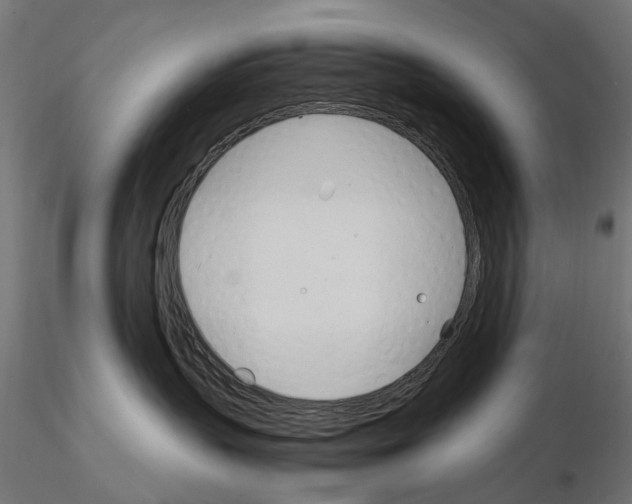 X0000115100383200912081304