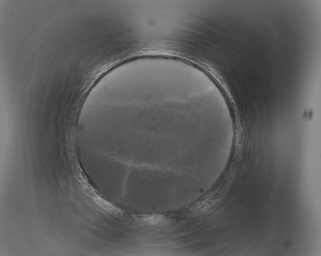 X0000115100385200912081303