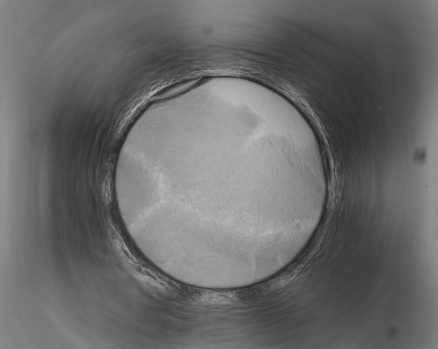 X0000115100386200912081303