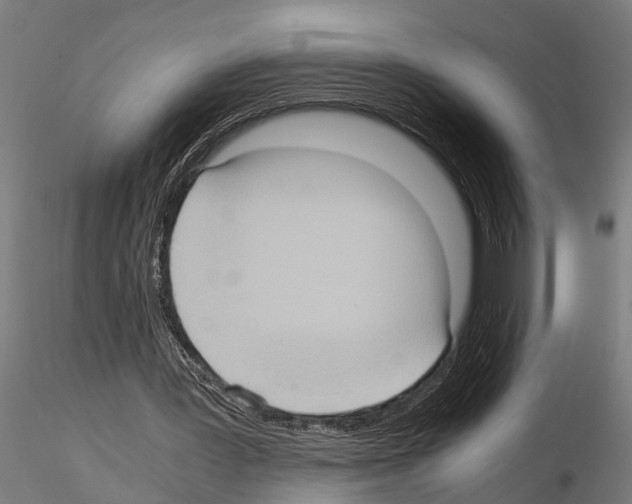 X0000115100387200912081303