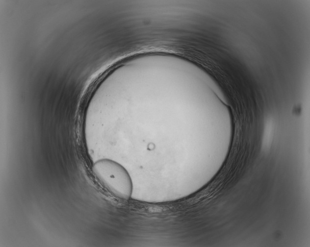 X0000115100388200912081303