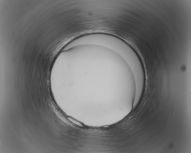 X0000115100389200912081303