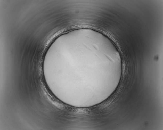 X0000115100390200912081303