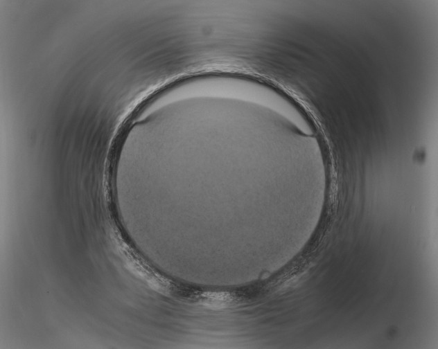 X0000115100391200912081303