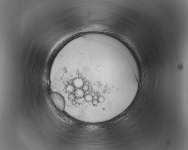 X0000115100392200912081303