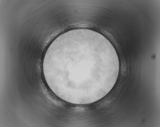 X0000115100394200912081303