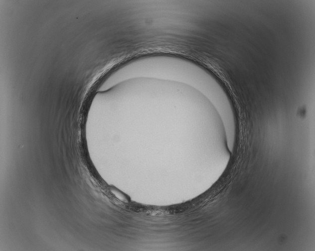 X0000115100395200912081303