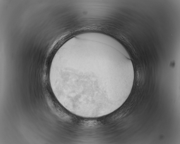 X0000115100396200912081303